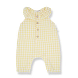 1 + in the Family Newborn EGINA Gingham Seersucker Romper