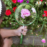 Oversized Handheld 2x Magnifying Glass