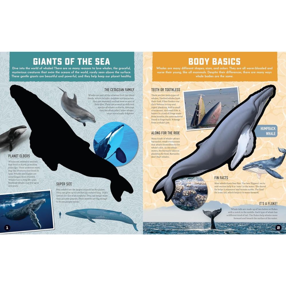 Inside Out Whale : Discover the Worlds Biggest Smartest Swimmers