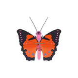 3D Wall Art - Butterfly - Large Fox Butterfly