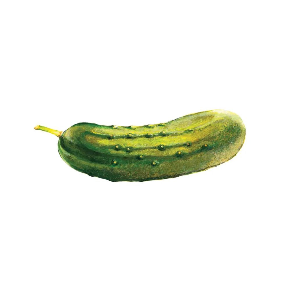Tattly Pickle Tattoo Pair