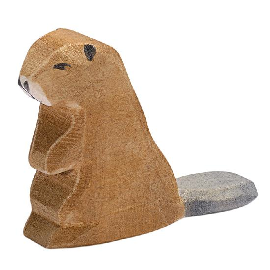 Ostheimer Beaver Sitting