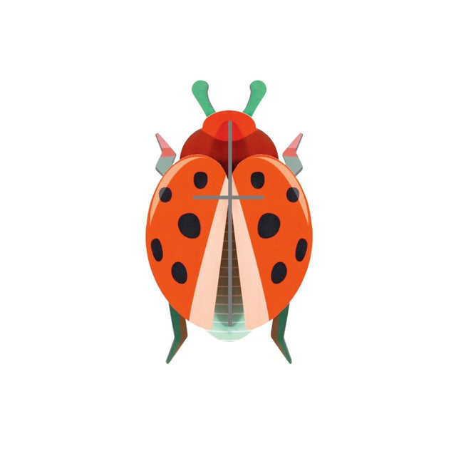 3D Wall Art - Beetles - Coccinelle Rouge