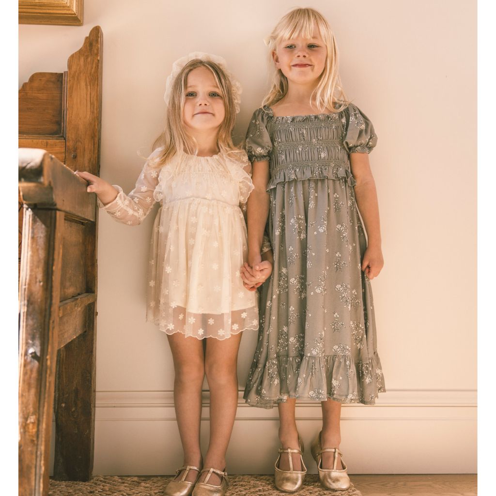 Noralee Celine Dress Embroidered Daisy