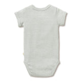 Wilson & Frenchy Organic Stripe Rib Bodysuit
