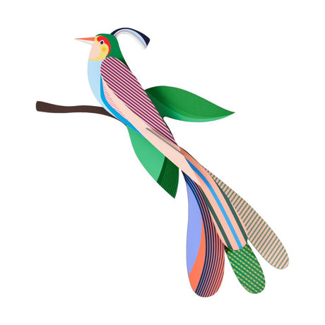 DIY 3D Wall Decoration Bird Maya