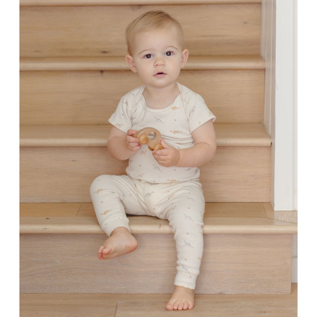 Quincy Mae Ribbed SS Tee + Legging Set Dinos