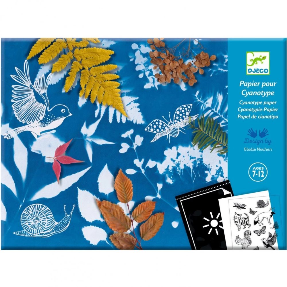Le coffret Cyanotype - kit complet pour réaliser des Cyanotypes - La comète