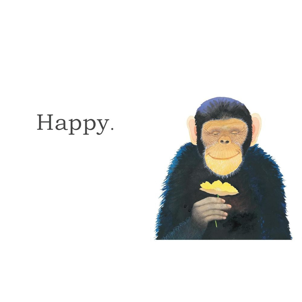 Big Gorilla: A Book of Opposites By (author): Anthony Browne