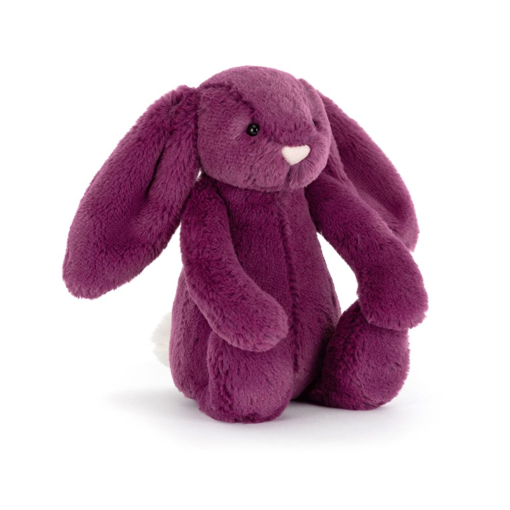 Bashful Christmas Bunny - Allium