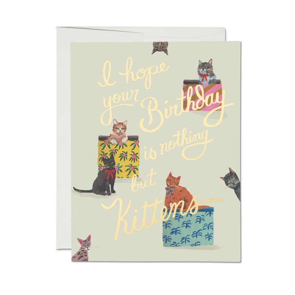 Nothing But Kittens