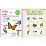Backpack Explorer- Bug Hunt