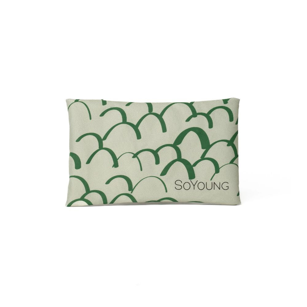 Ice Pack Raw Linen - Dino Scales