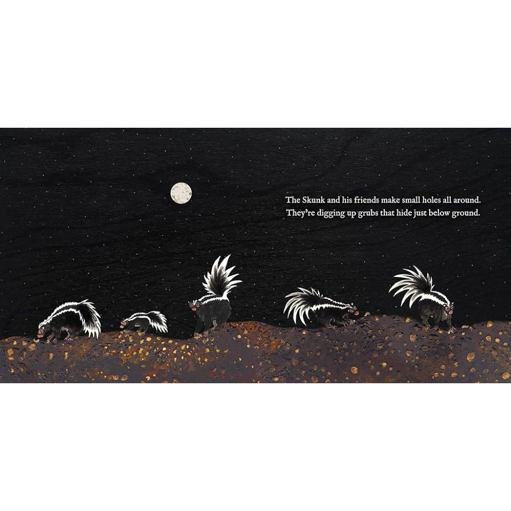 Nocturnal Animals By Ashley Anne Clark