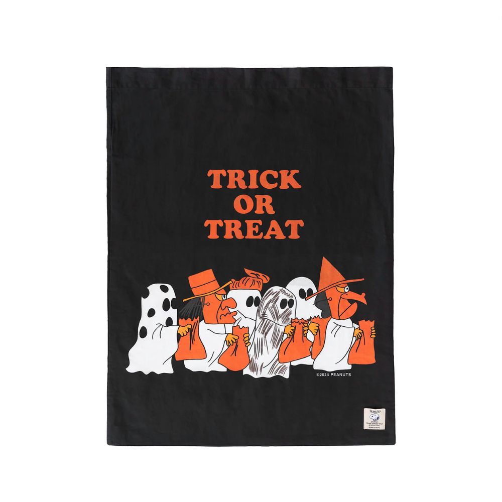 Peanuts Halloween Trick or Treat Bag Rock Pillowcase Style