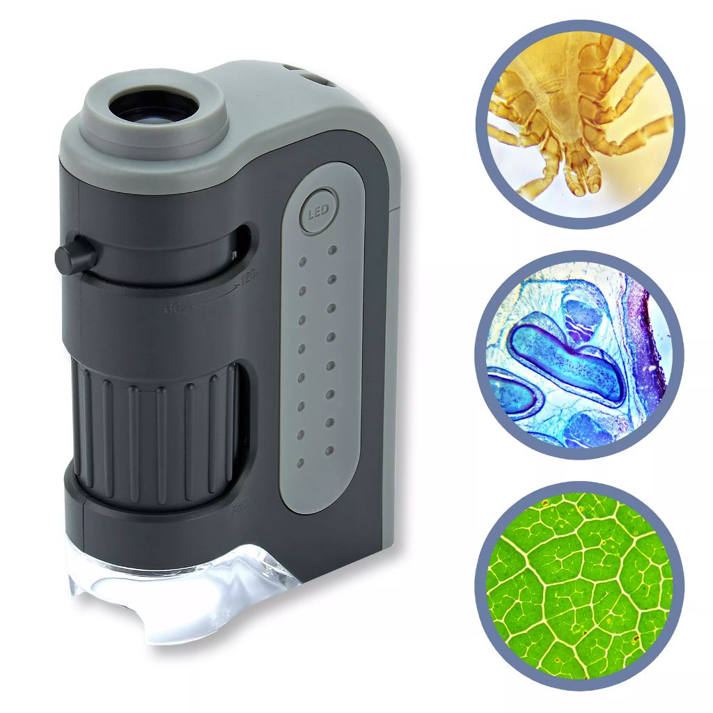 60x-120x Lighted Pocket Microscope, Portable