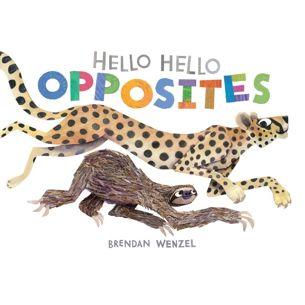 Hello Hello Opposites BB  illustrated by Brendan Wenzel
