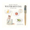 Activity Books