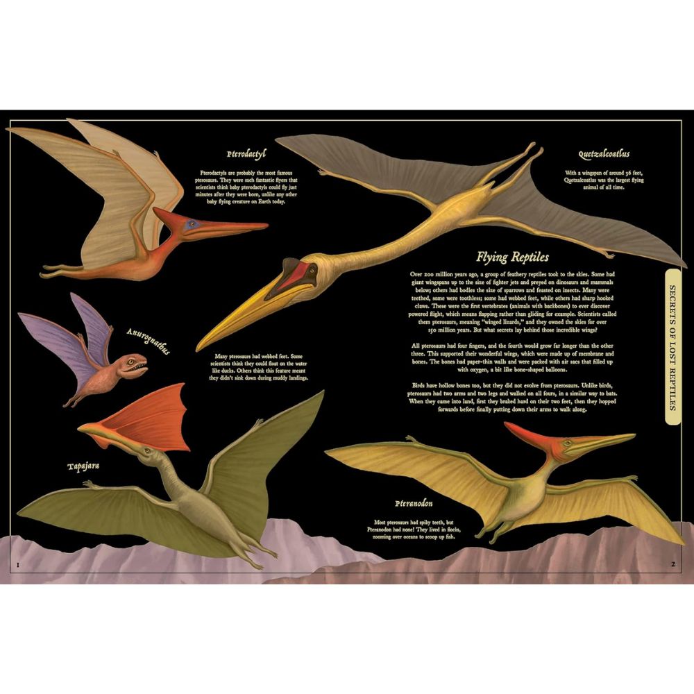 Secret Stories of Lost Beasts : A Field Guide to Uncover Earths Ancient Animals HC