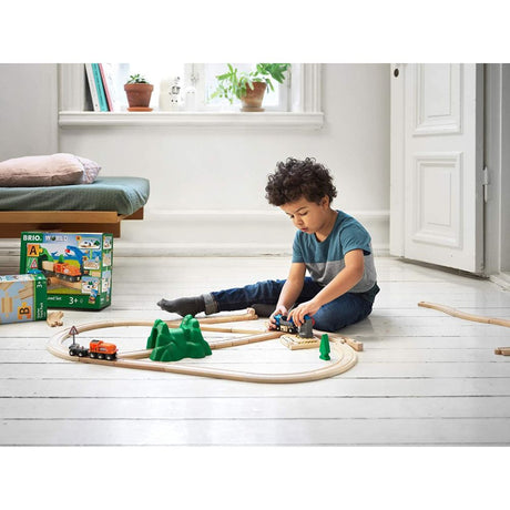 Brio Starter Lift and Load Set