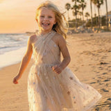 Silver & Gold Eras Dress, Size 3-4