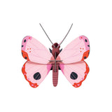 3D Wall Art - Butterfly - Rosora Butterfly