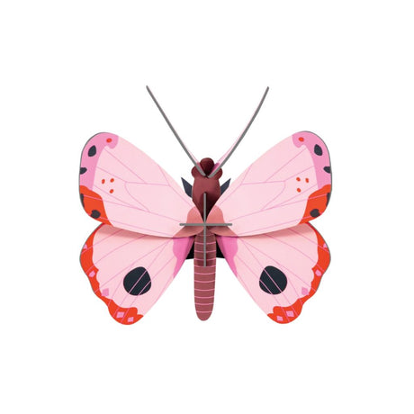 3D Wall Art - Butterfly - Rosora Butterfly