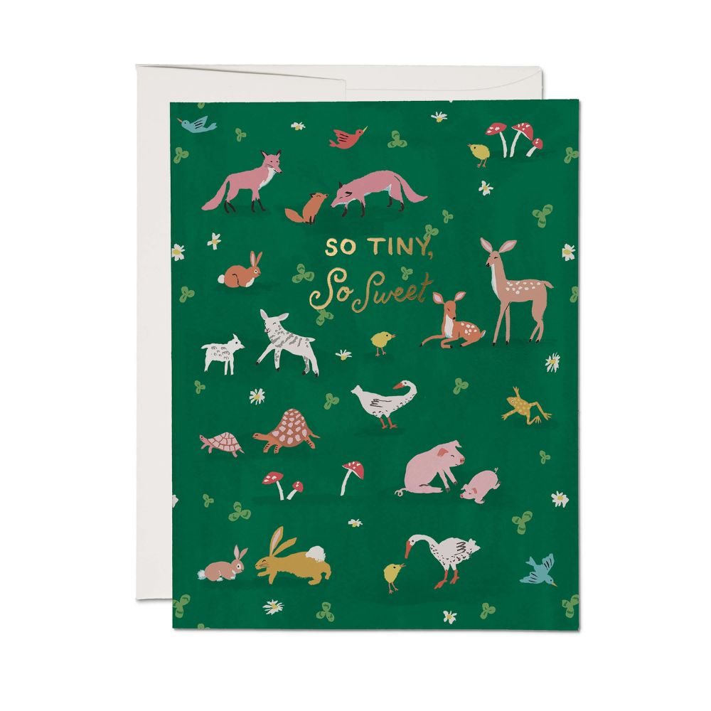 Tiny Animals Foil Card