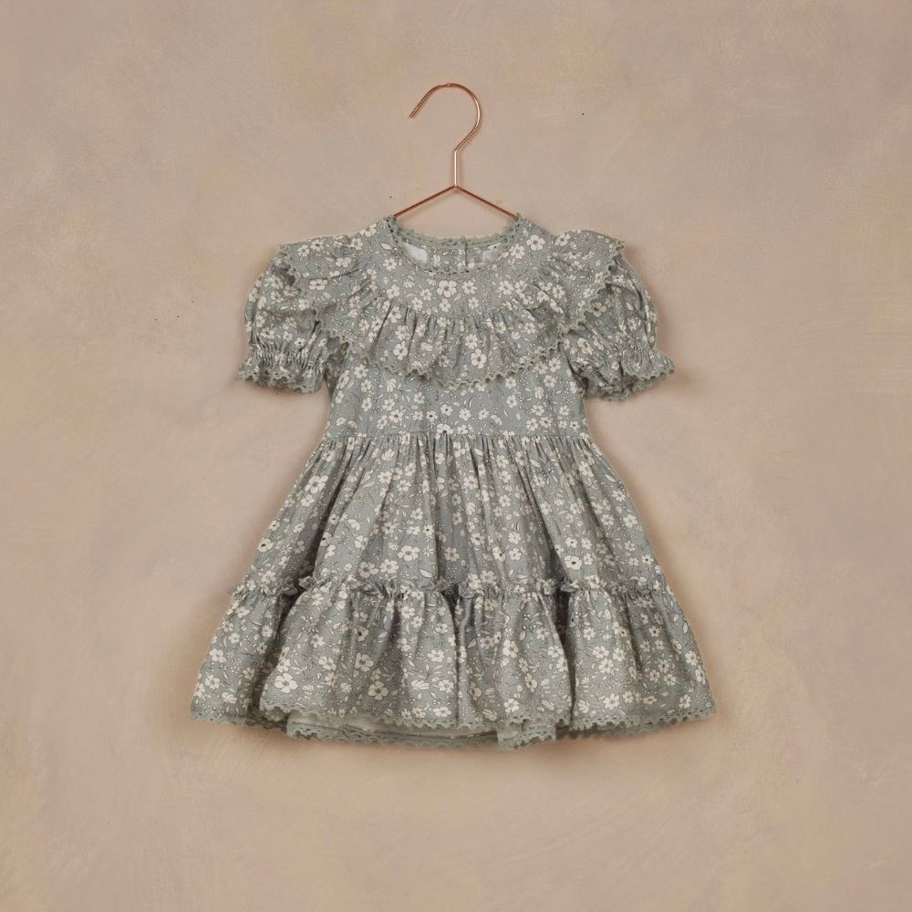 Noralee Eva Dress Sky Floral