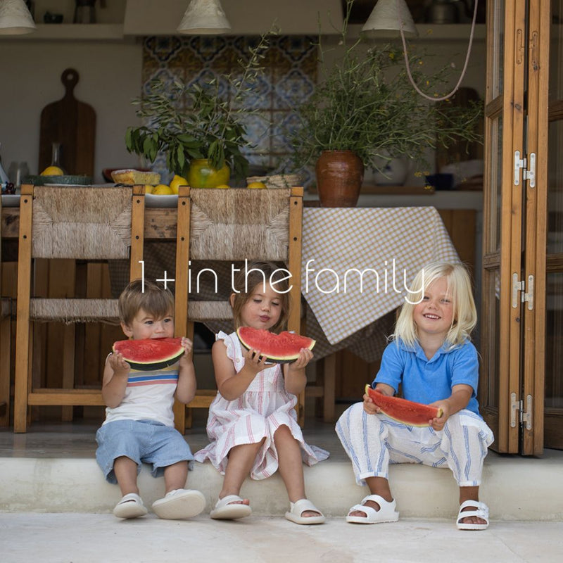 1 + in the family SS26