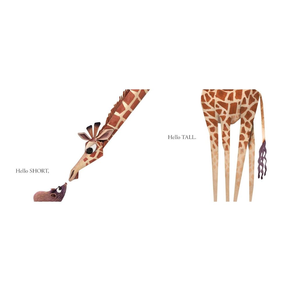 Hello Hello Opposites BB  illustrated by Brendan Wenzel