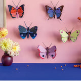 3D Wall Art - Butterfly - Large Fox Butterfly