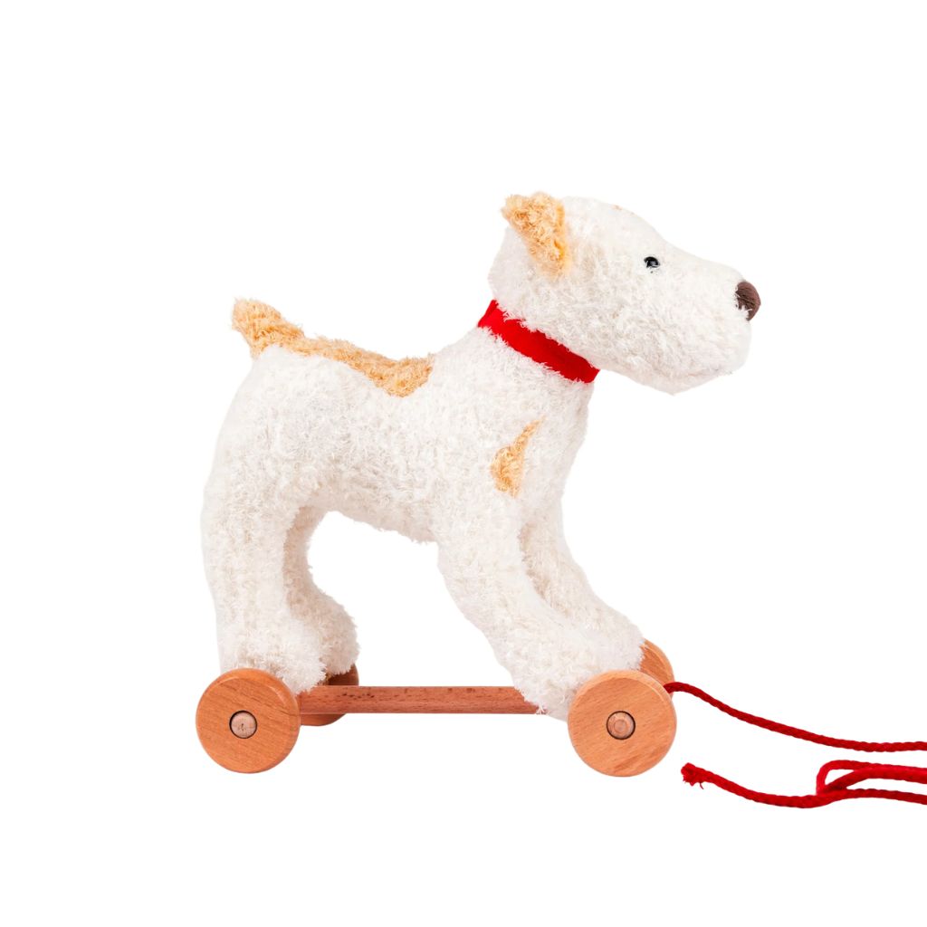 Eliot the Pull-Along Dog