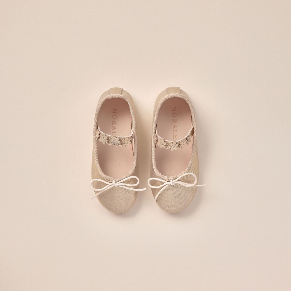 Noralee Ballet Flats C