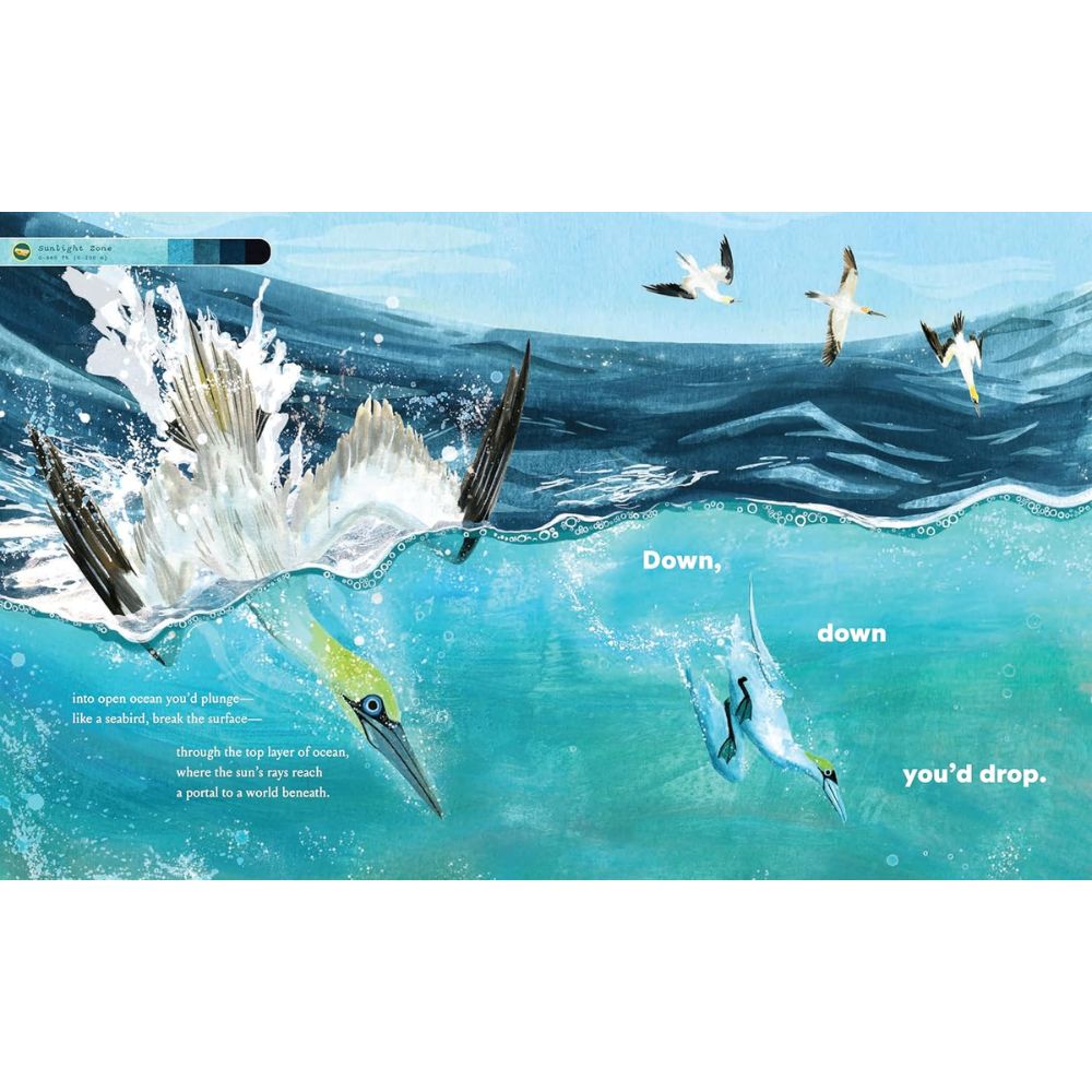 If You Went to the Bottom of the Ocean HC by Brooke McIntyre