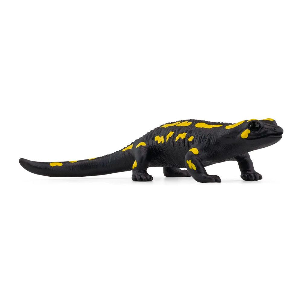 Scheich Fire Salamander