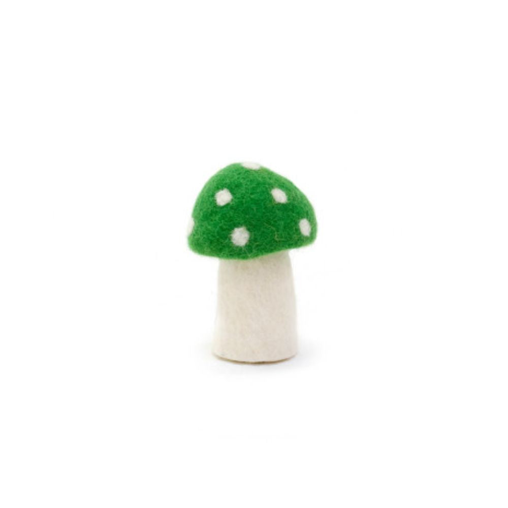 Muskhane Dotty Mushroom S Chlorophyll