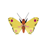 3D Wall Art - Butterfly - Luzerne Butterfly