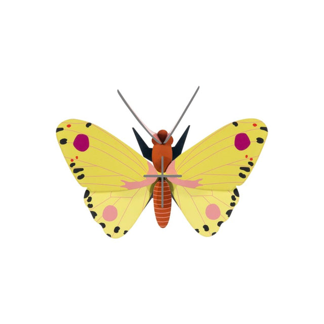 3D Wall Art - Butterfly - Luzerne Butterfly
