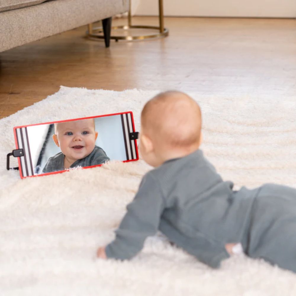Manhattan Toy Wimmer Discovery Mirror
