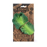 Oli and Carol Kendall The Kale