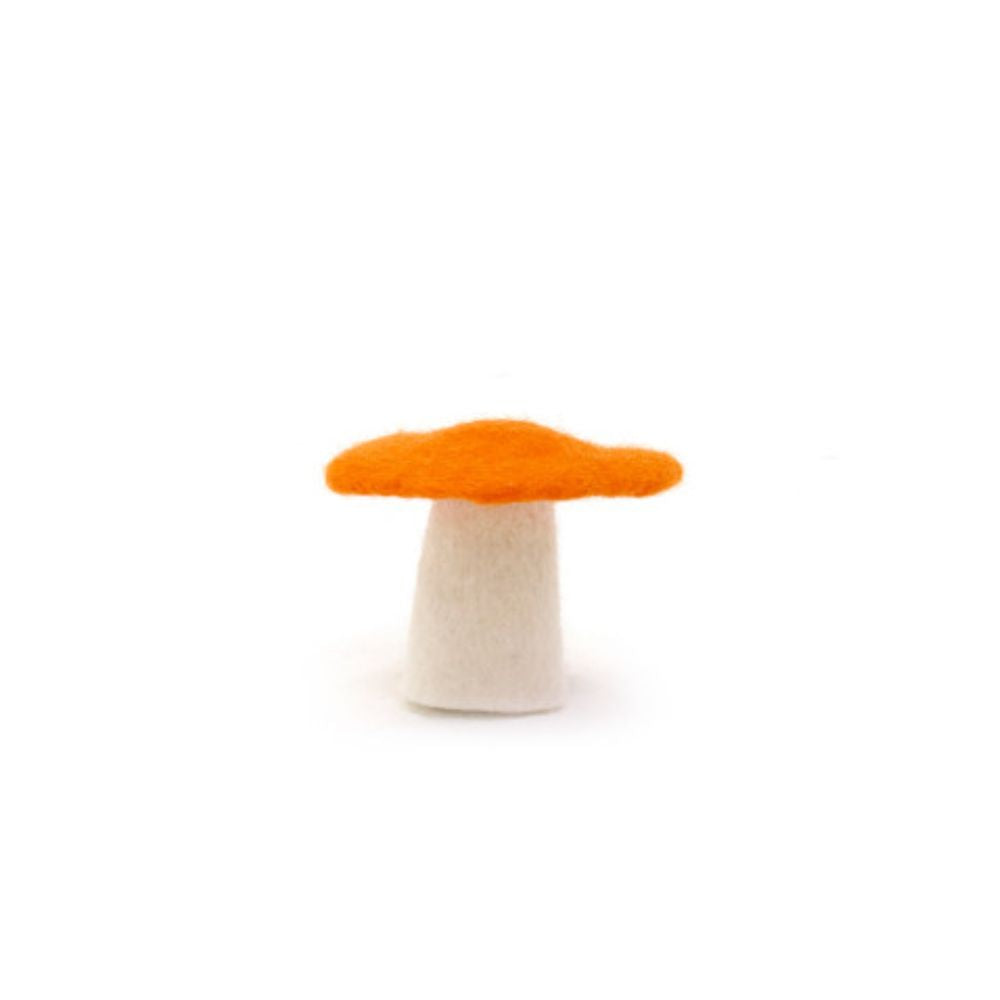 Muskhane Mushroom S Apricot