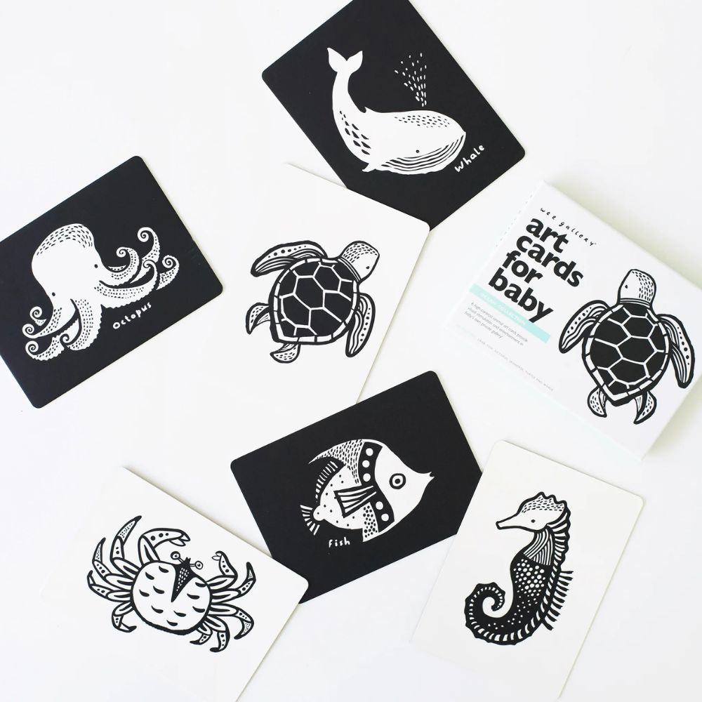 Wee Gallery Ocean Art Cards