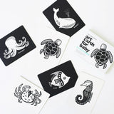 Wee Gallery Ocean Art Cards