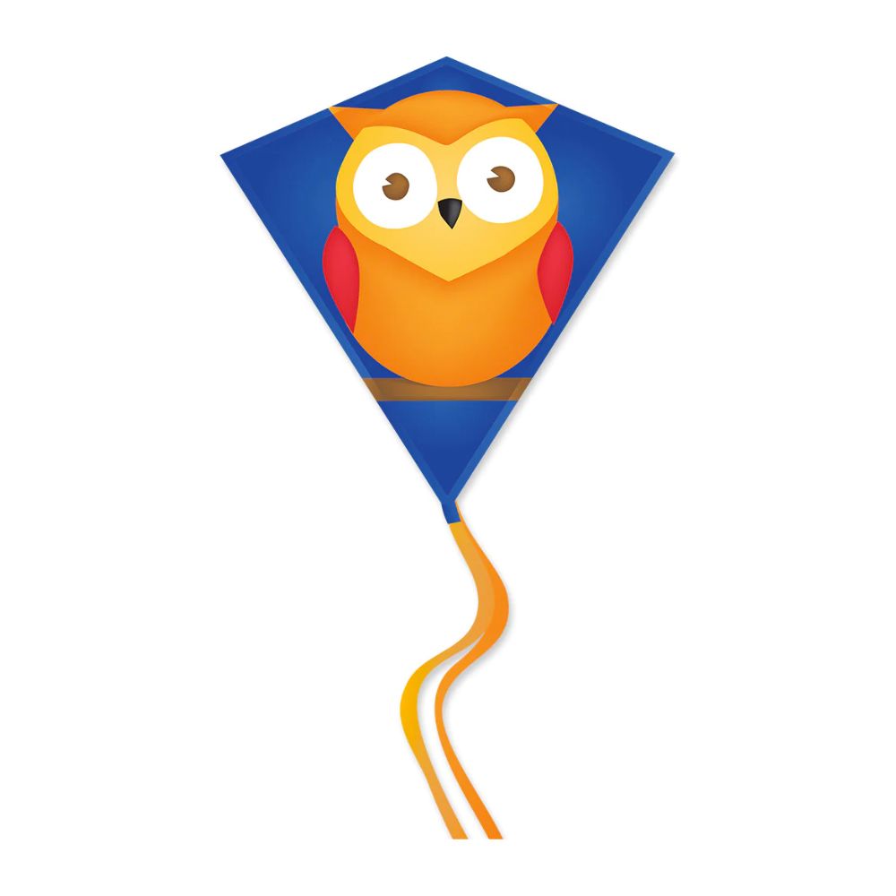 30 in Diamond Kite - Owl