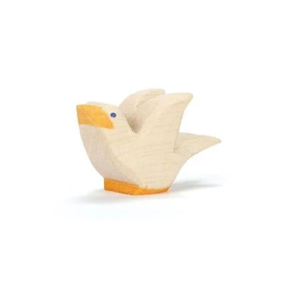 Ostheimer Bird Pigeon Flying