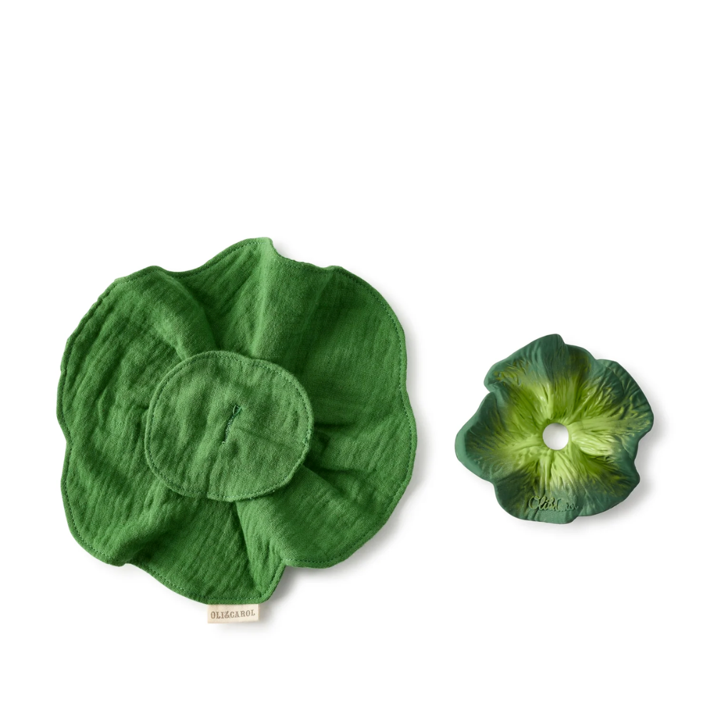 Oli and Carol Mini Doudou Teether - The Kale