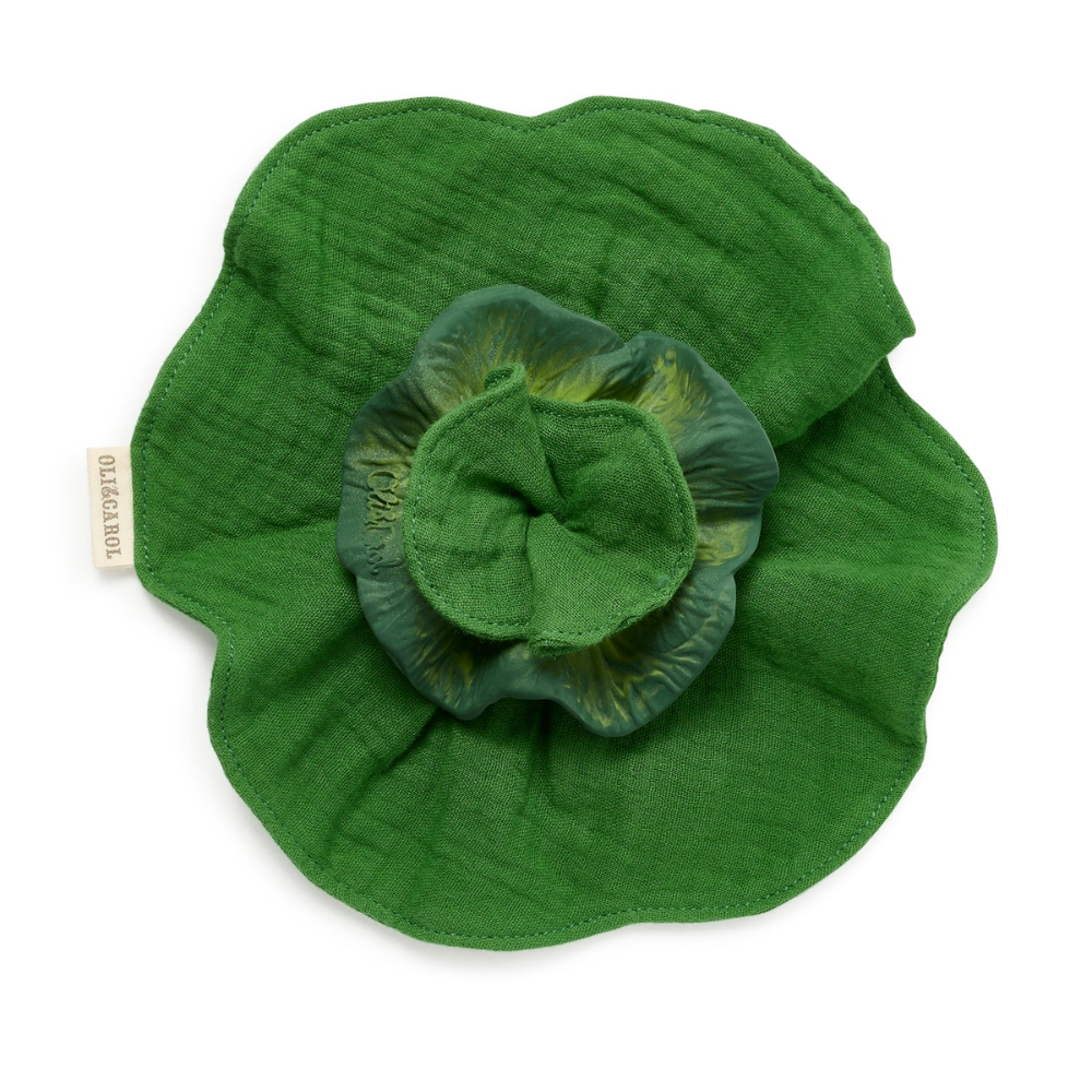 Oli and Carol Mini Doudou Teether - The Kale