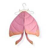 Pink Silk Moth Wings