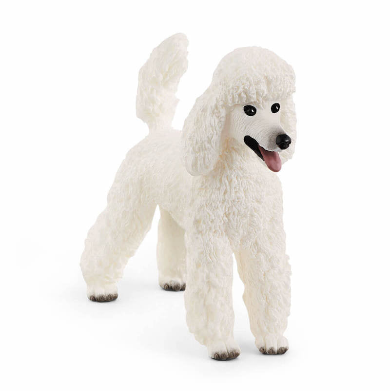 Schleich Poodle 2021